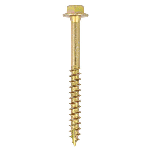 Solo Coach Screw ZYP - 6.0 x 100 | TIMpac of 8