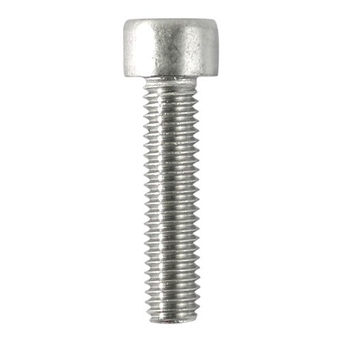 Cap Socket Screws A2 SS - M6 x 20 | Bag of 10