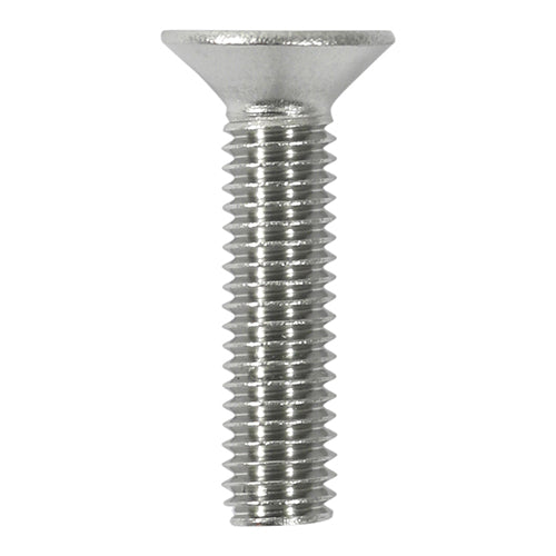 Countersunk Socket Screws A2SS - M6 x 20 | Bag of 10