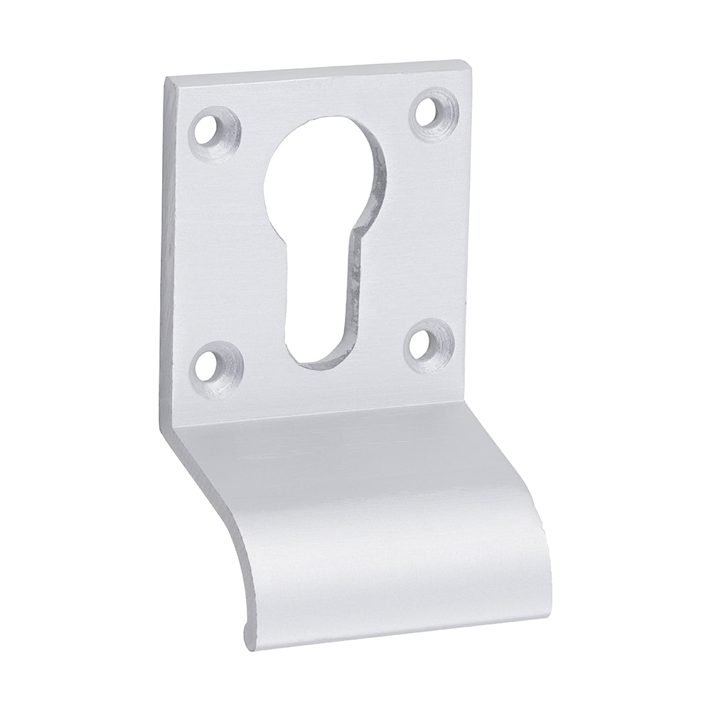 Euro Cylinder Door Pull SAA - 70 x 42 | Bag