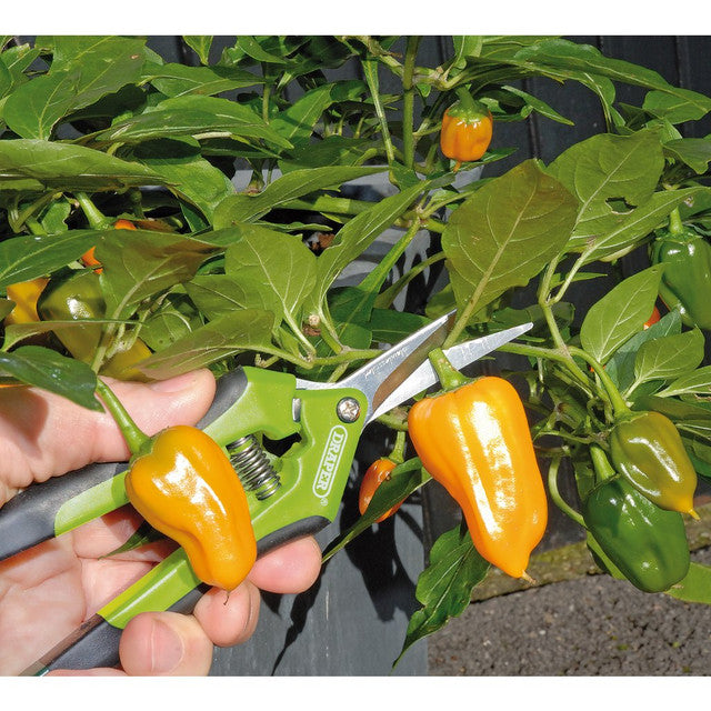 Draper Precision Curved Pruning Secateurs, 165mm Draper Tools