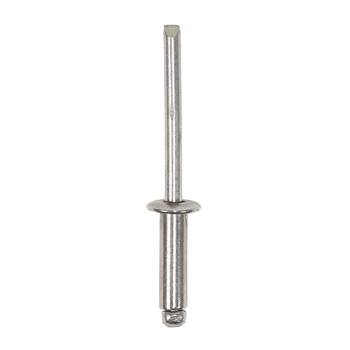 Rivets - Dome Head - SS - 3.2 x 6 | TIMpac of 102