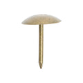 Upholstery Nails - Bronze - 10.5 x 15.7 | TIMpac of 50