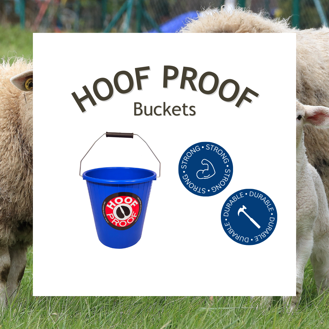 Hoof Proof Calf Bucket 5L c/w Handle - Rib-Blue C10