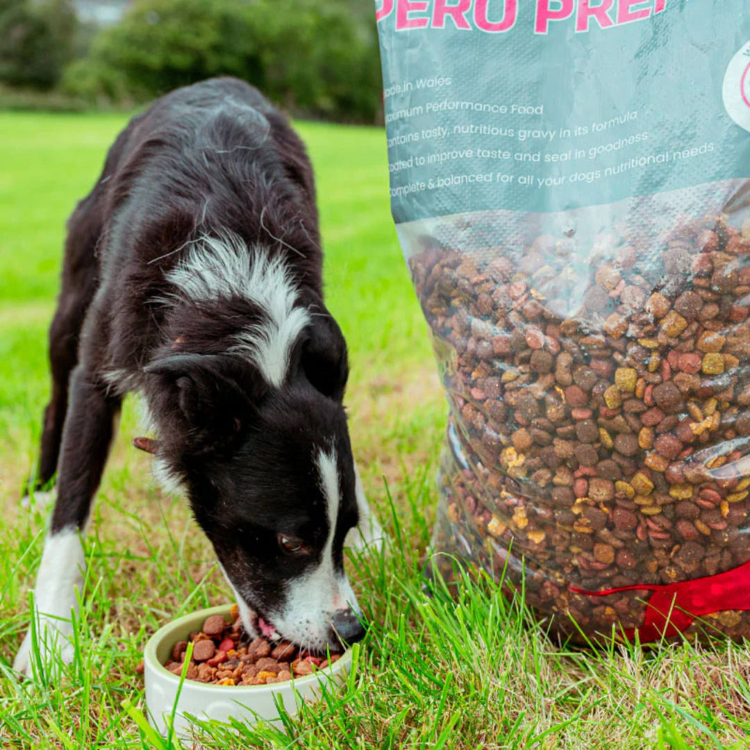 Pero Premiwm (Premium) - 15kg