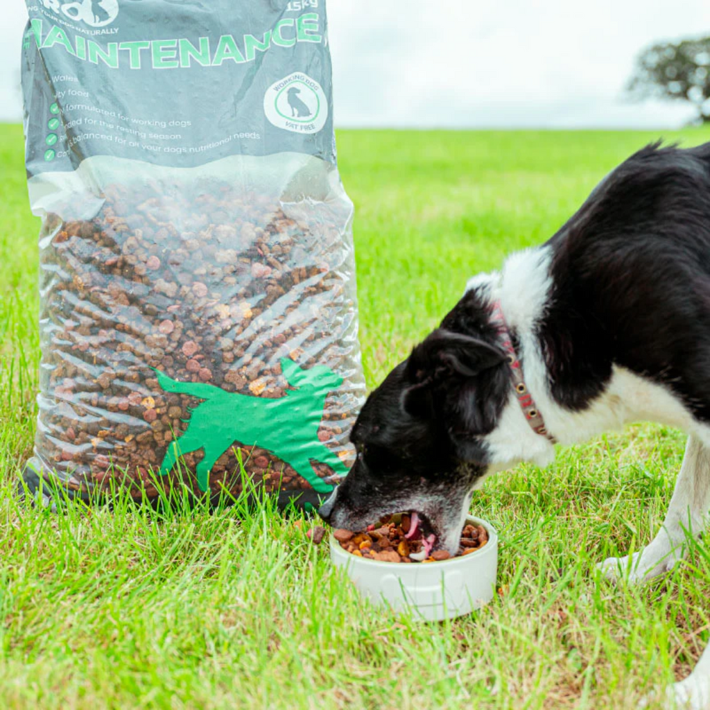 Pero Working Dog Maintenance - 15kg