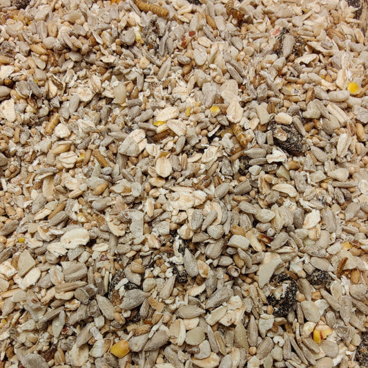 Peckers Robin & Songbird Bird Feed Mix 2Kg