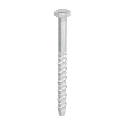 Timco Masonry Bolts - Hex - Exterior - Silver - Box