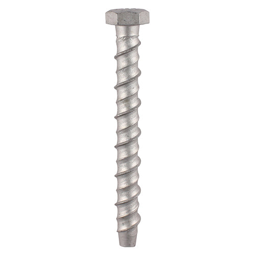 Multi-Fix Bolt Hex Head - 16.0 x 100 | TIMpac of 2