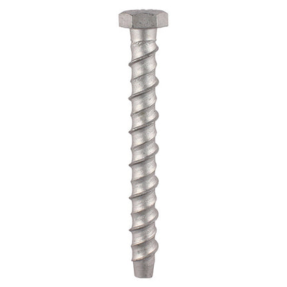 Timco Masonry Bolts - Hex - Exterior - Silver - Box