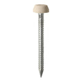 Polymer Headed Pin BEIGE - 25mm | Box of 250