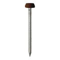 Polymer Headed Pin MAHOGANY - 25mm | Box of 250