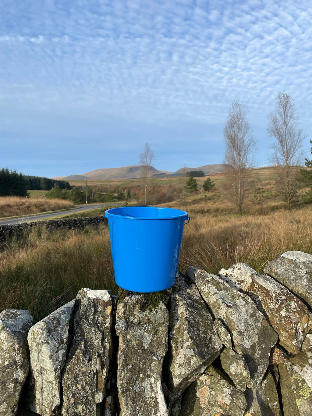 Calf Bucket Small 10L Blue