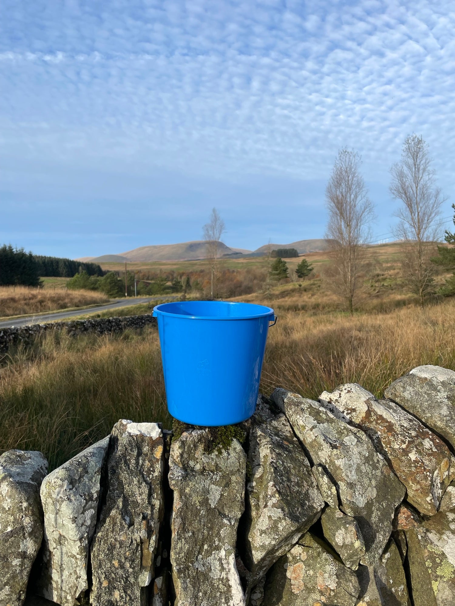 Calf Bucket Small 10L Blue