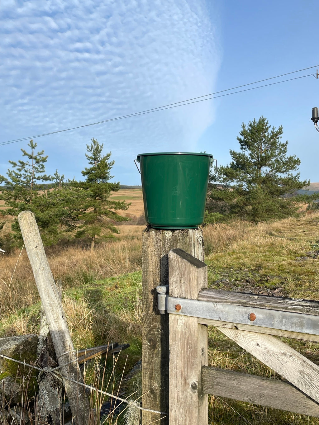 Calf Bucket Small 10L Green