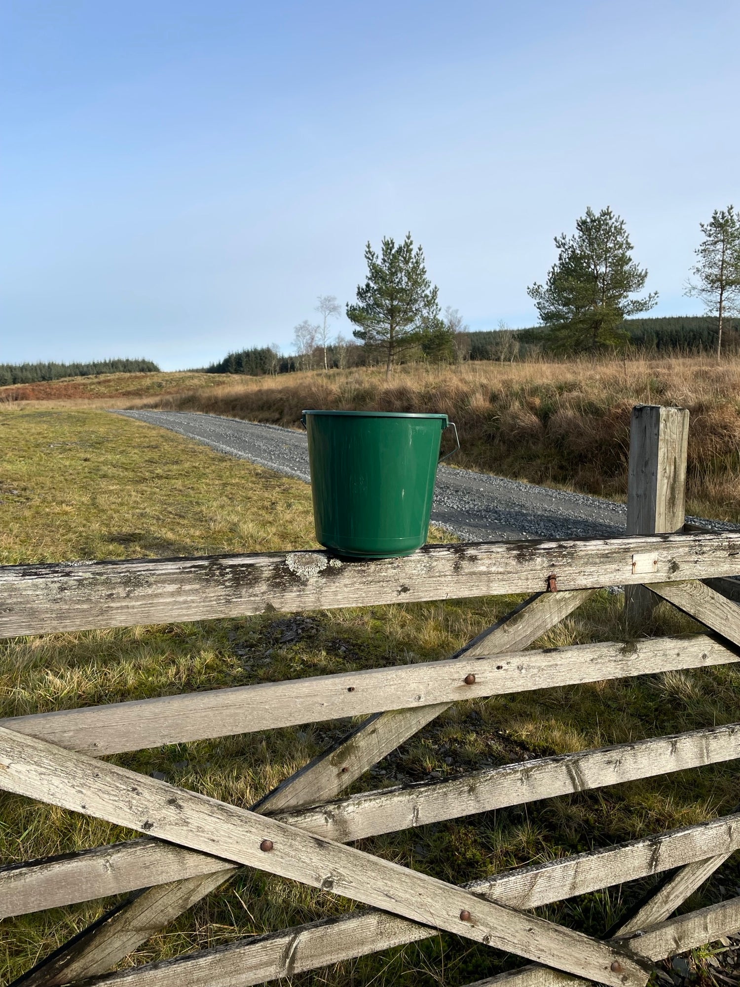 Calf Bucket Small 5L Green