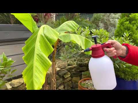 Spear & Jackson 2 Litre Pump Action Pressure Sprayer