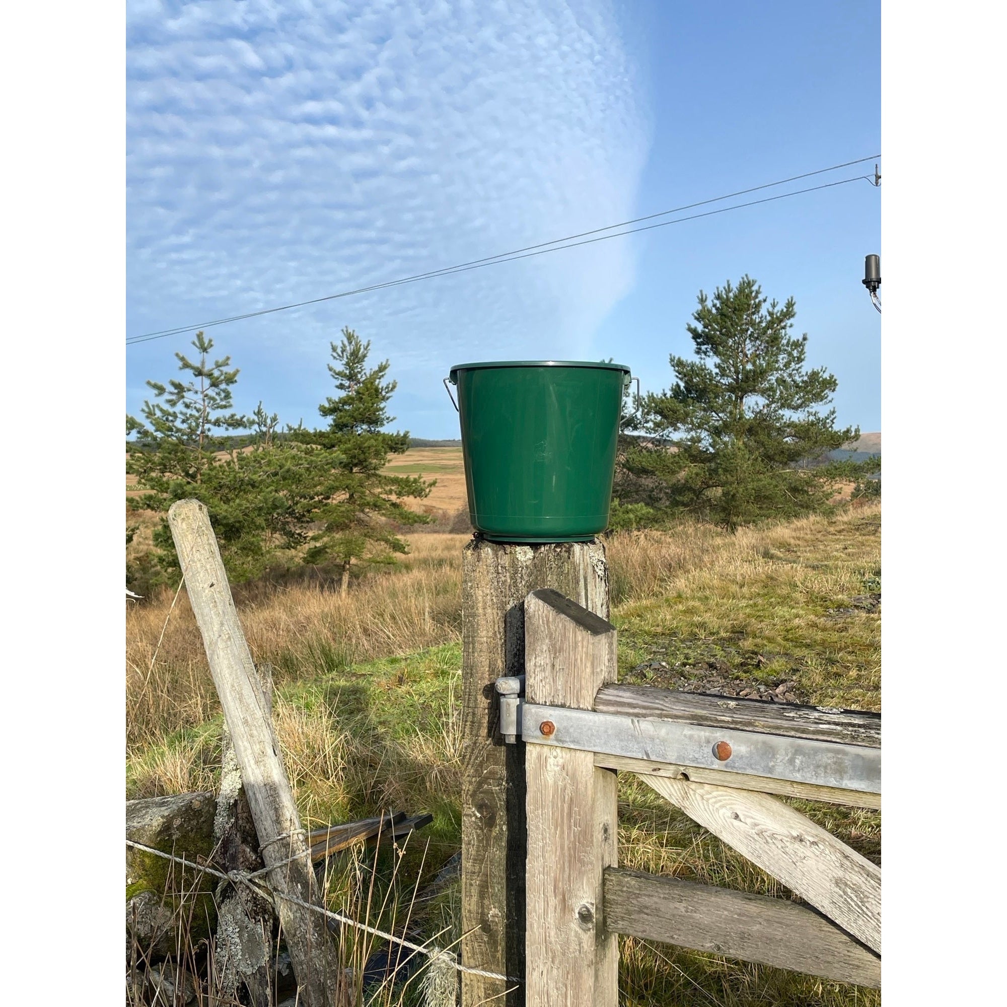 Calf Bucket Small 10L Green Red Gorilla