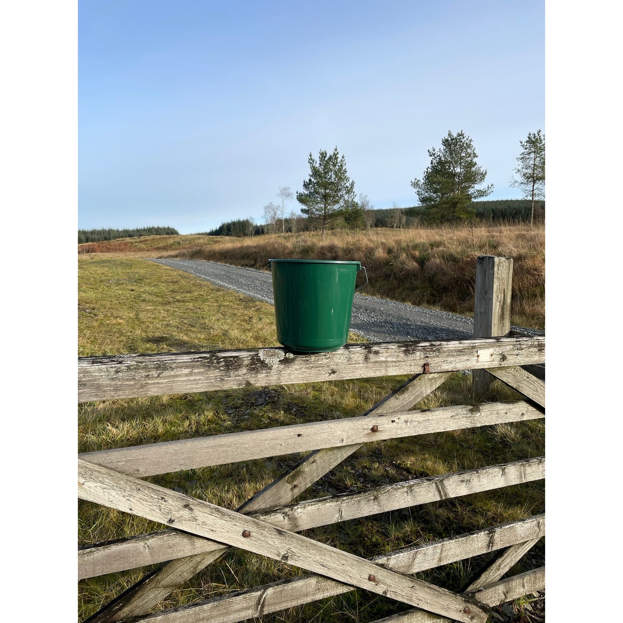 Calf Bucket Small 5L Green Red Gorilla
