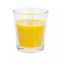 Roots & Shoots Citronella Candle - Boxed in Glass Jar Roots & Shoots