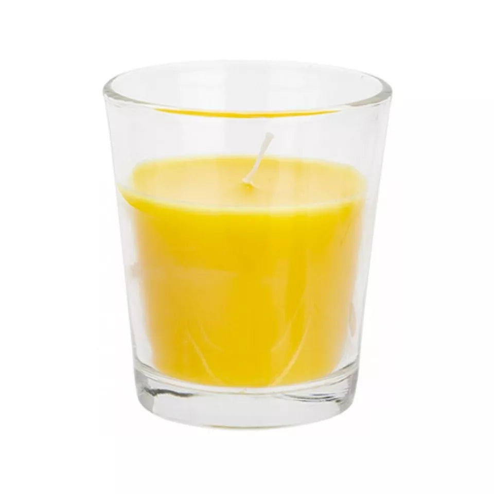 Roots & Shoots Citronella Candle - Boxed in Glass Jar
