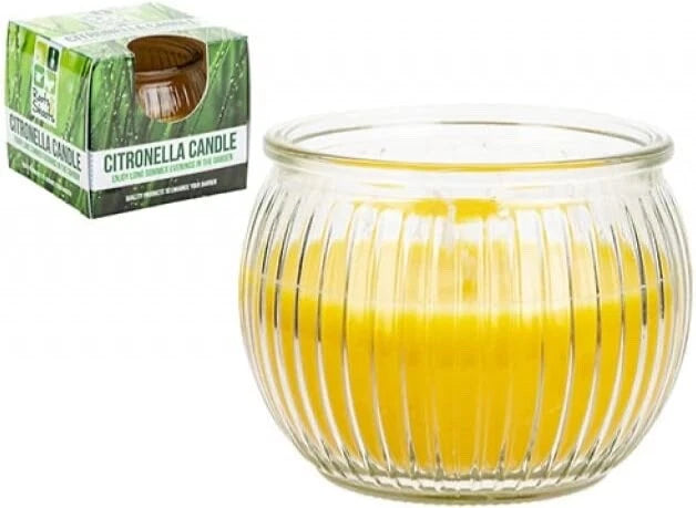 Roots & Shoots Citronella Candle - Boxed in Ribbed Glass Jar
