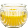 Roots & Shoots Citronella Candle - Boxed in Ribbed Glass Jar Roots & Shoots