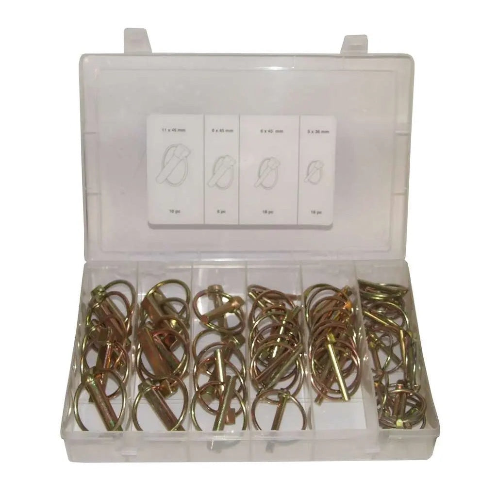 Workshop Kit Assorted Linch Pin Kit 50 pieces